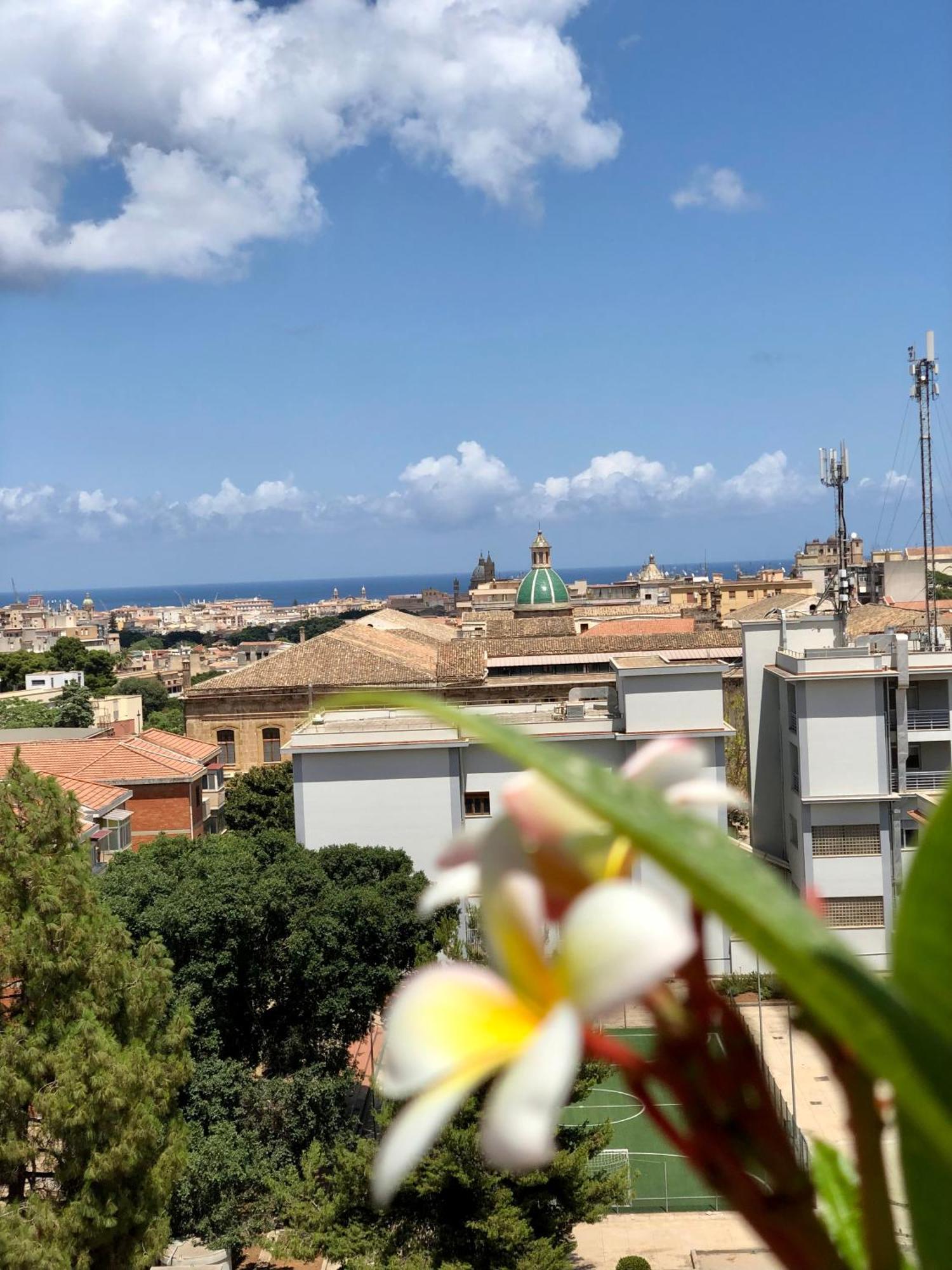 Acomodação com café da manhã  Bellavista Palermo